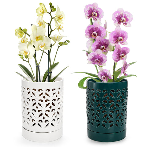 Jucoan orchid pot with holes and saucer in white-green for stable display with drainage.