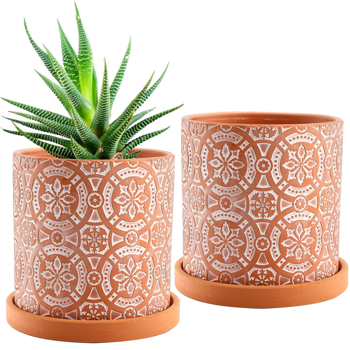 Jucoan terracotta pot front view with flower pattern for indoor decor
