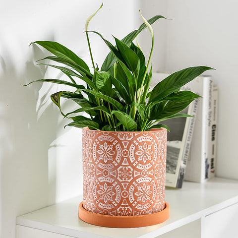 Jucoan terracotta pot on outdoor patio setup for greenery
