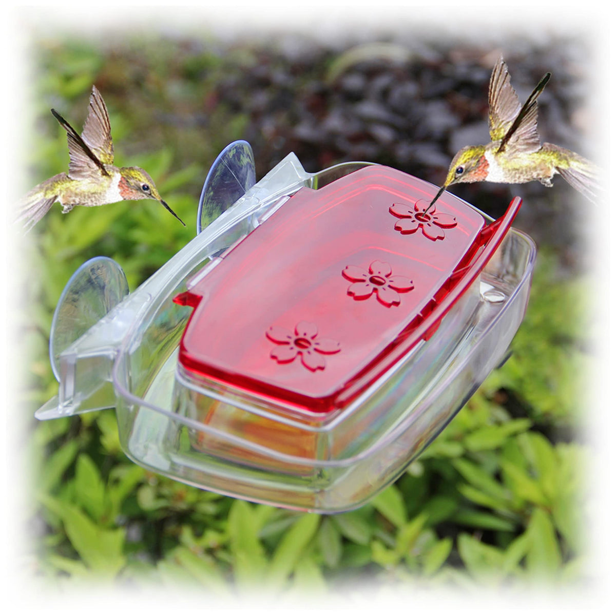 Juegoal window hummingbird feeder mounted on glass with red lid and clear bowl.