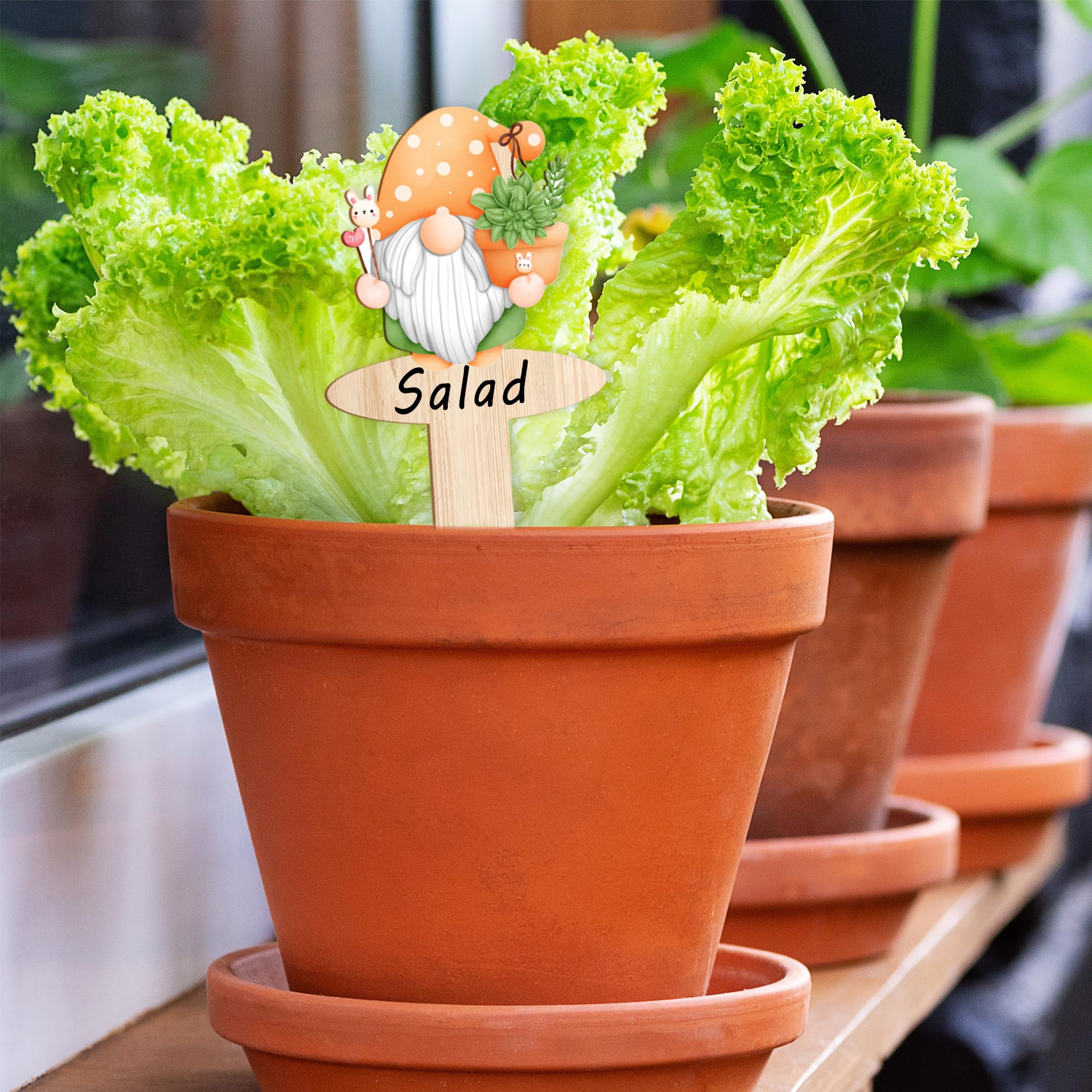 Perfect JuGeoZhi gnome labels for gifting plant lovers and garden spaces