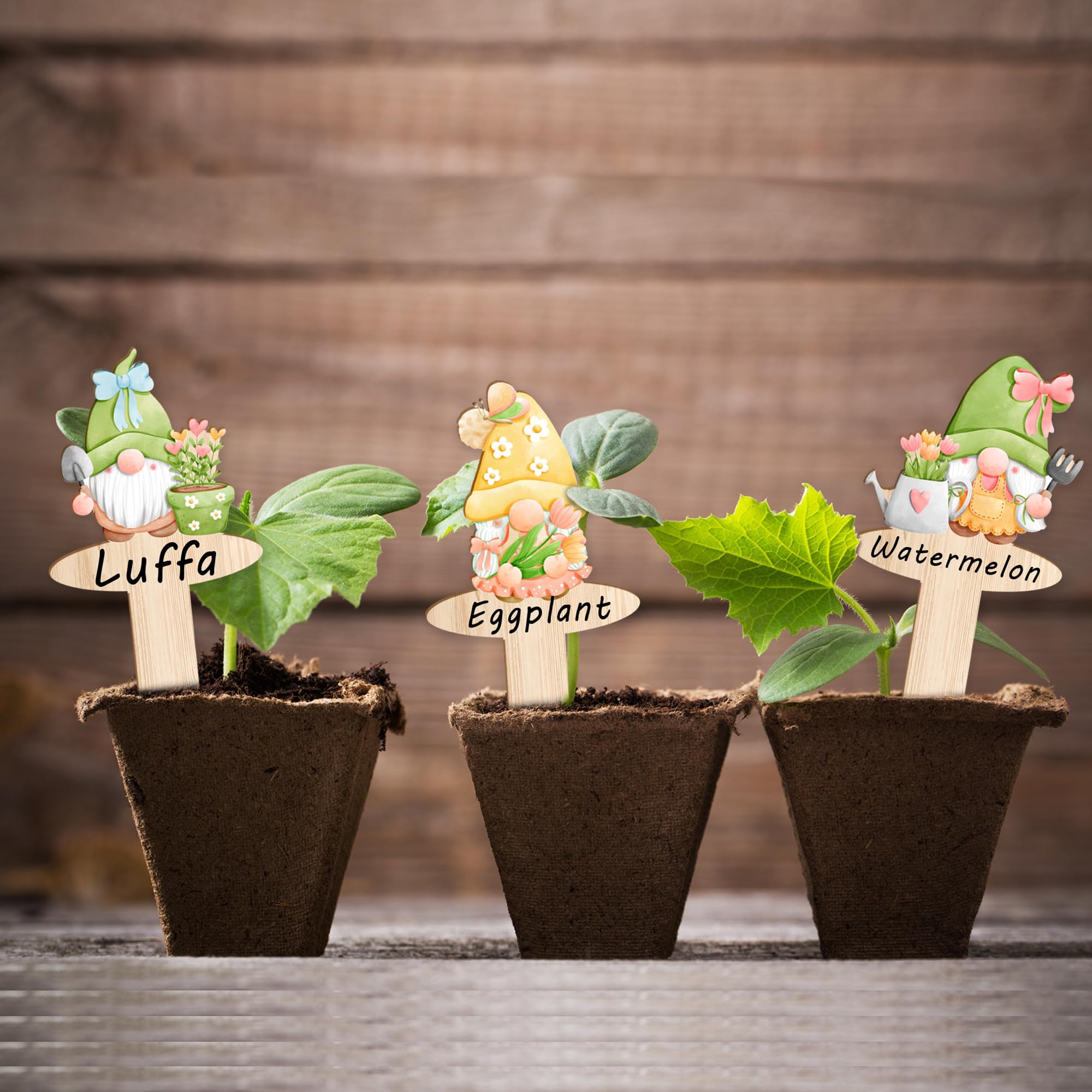Whimsical JuGeoZhi gnome markers brighten beds and organize herbs and vegetables