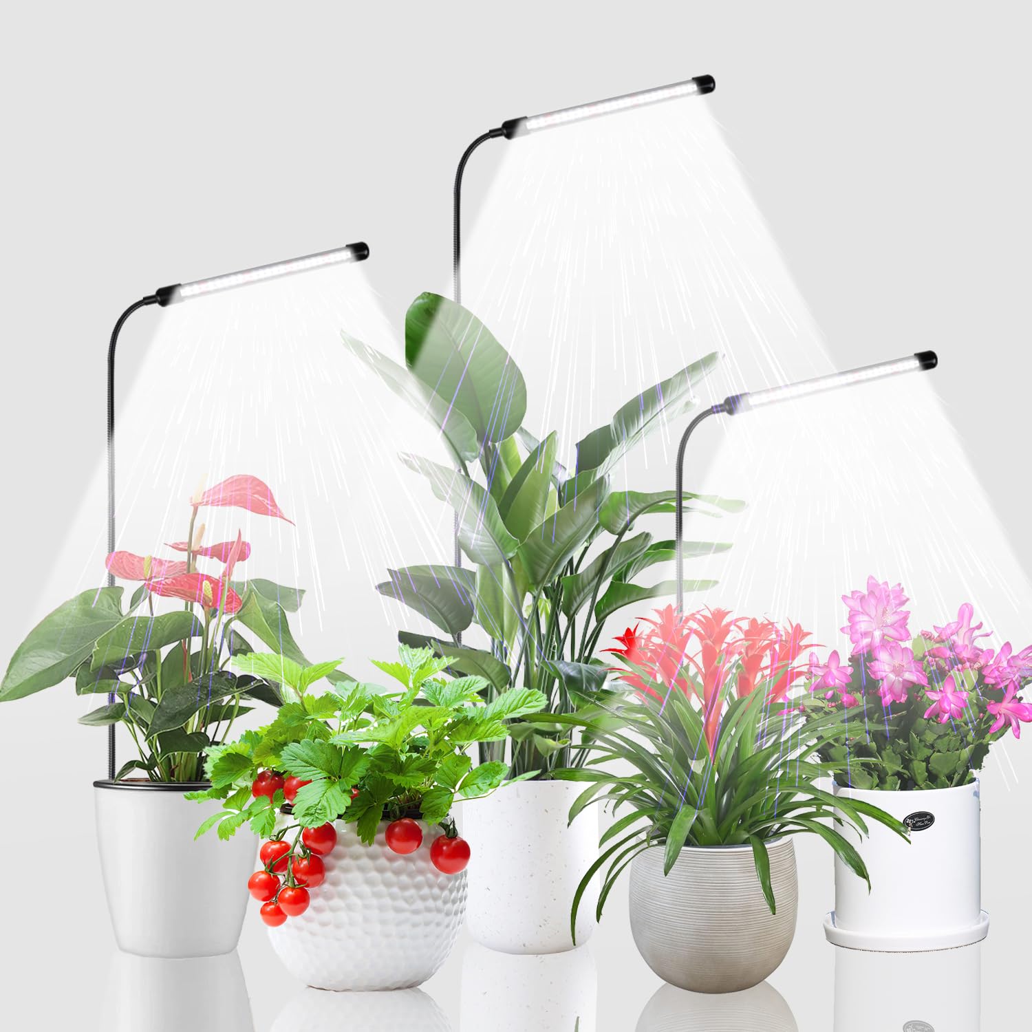 Juhefa Grow Light full spectrum with 120 white and 24 red bulbs for strong seedling growth
