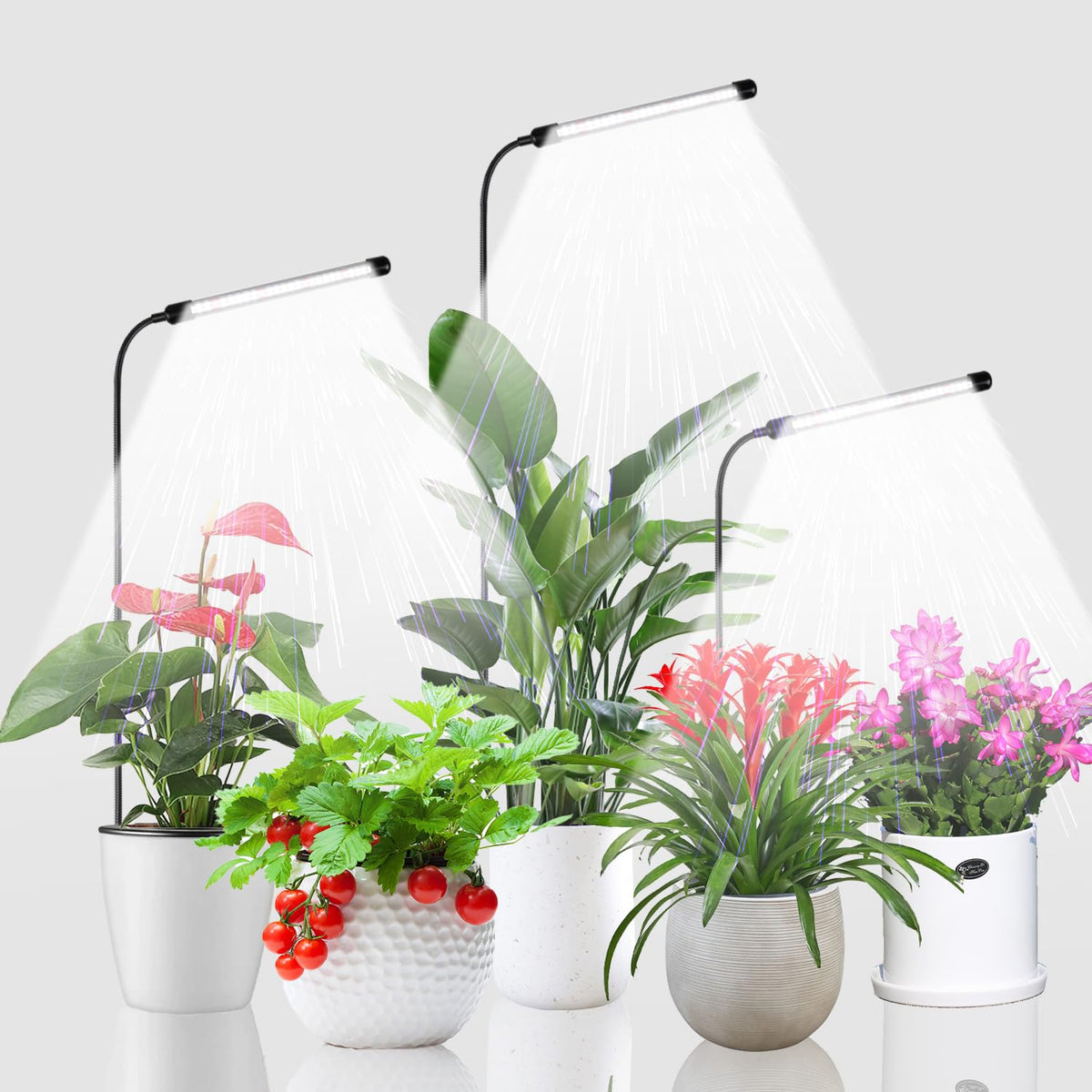Juhefa Grow Light full spectrum with 120 white and 24 red bulbs for strong seedling growth
