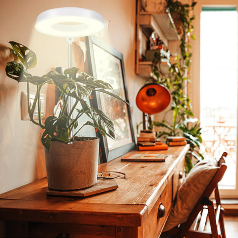 Juhefa Grow Light halo adjustable angle ensures proper plant coverage.