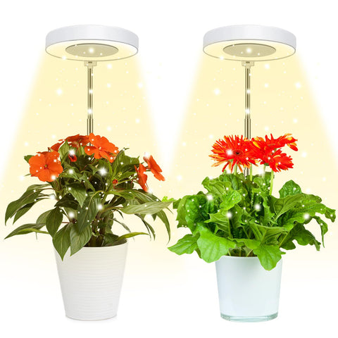 Juhefa Grow Light halo base shows compact design for seed starting.
