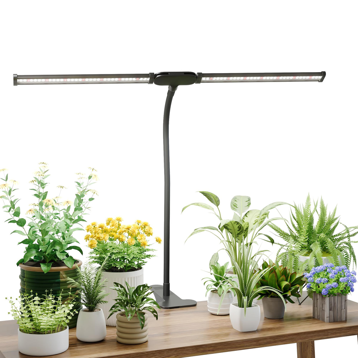 Juhefa LED Grow Light clipped to a desk for indoor plant growth