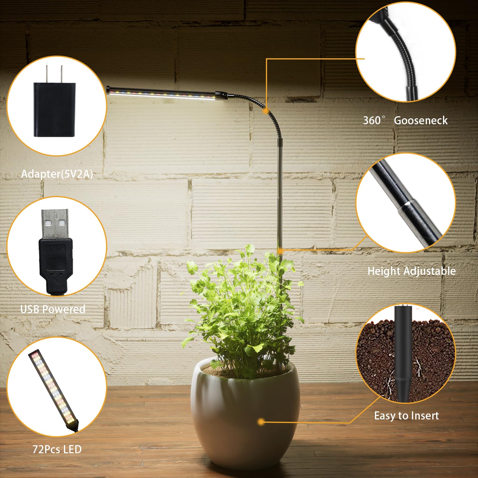Juhefa ideal for shelves, pots, and compact indoor gardens.