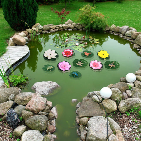 Juinte water lily pads in varying sizes create charming pond decor