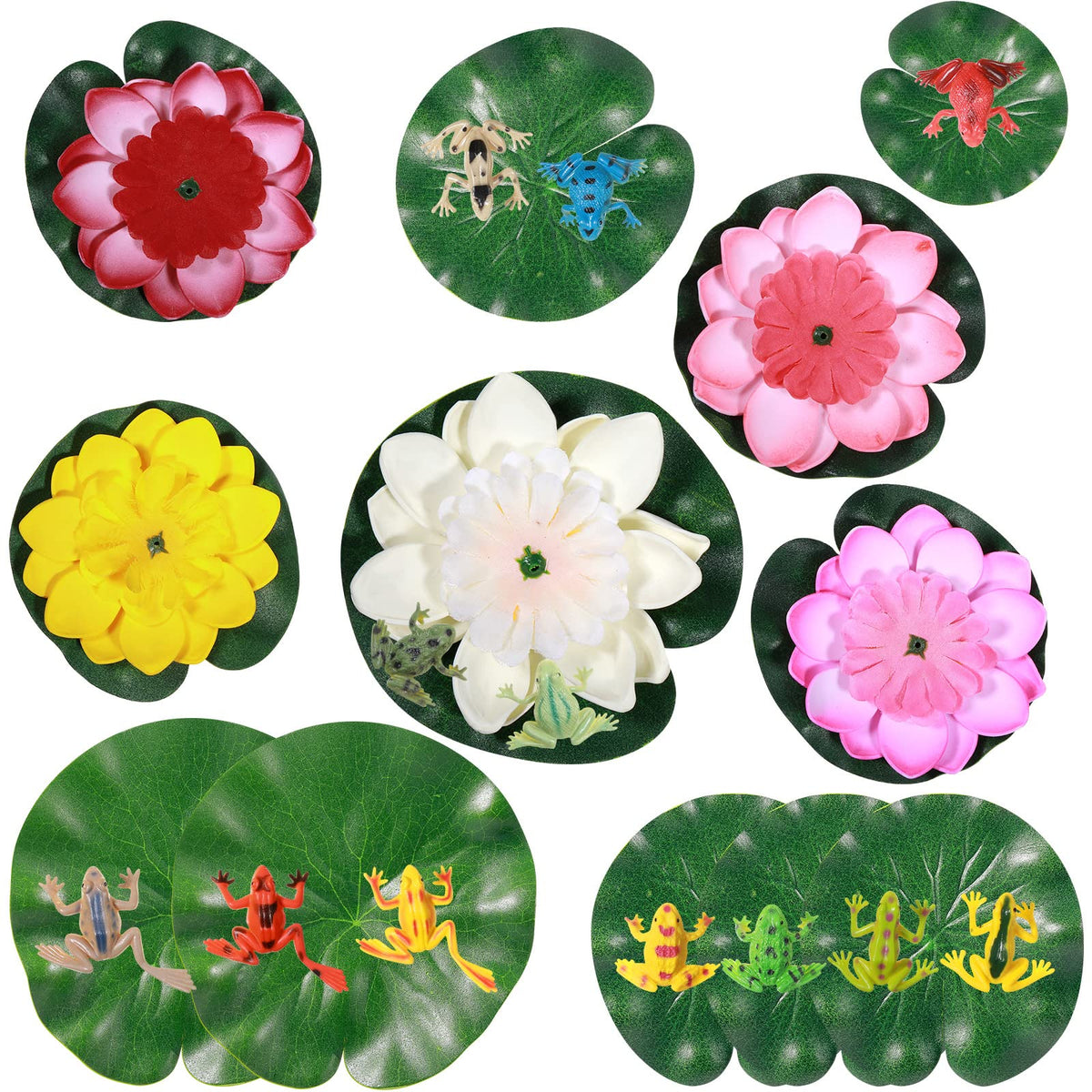 Juinte water lily pad floating lotus flowers brighten ponds with color and texture