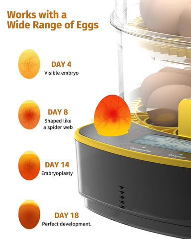 JUJOJB clear window and candling for embryo monitoring