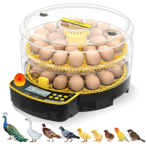 JUJOJB egg incubator with double-layer design holding up to 48 eggs for home hatching