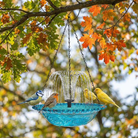 Julyxi water patterns attract hummingbirds and other birds to your space