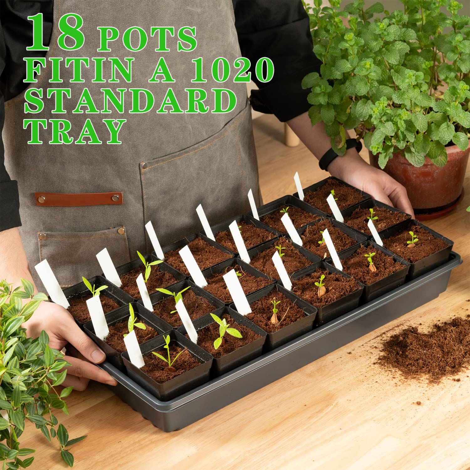 June Fox waterproof plant labels help you organize 100 plants efficiently.