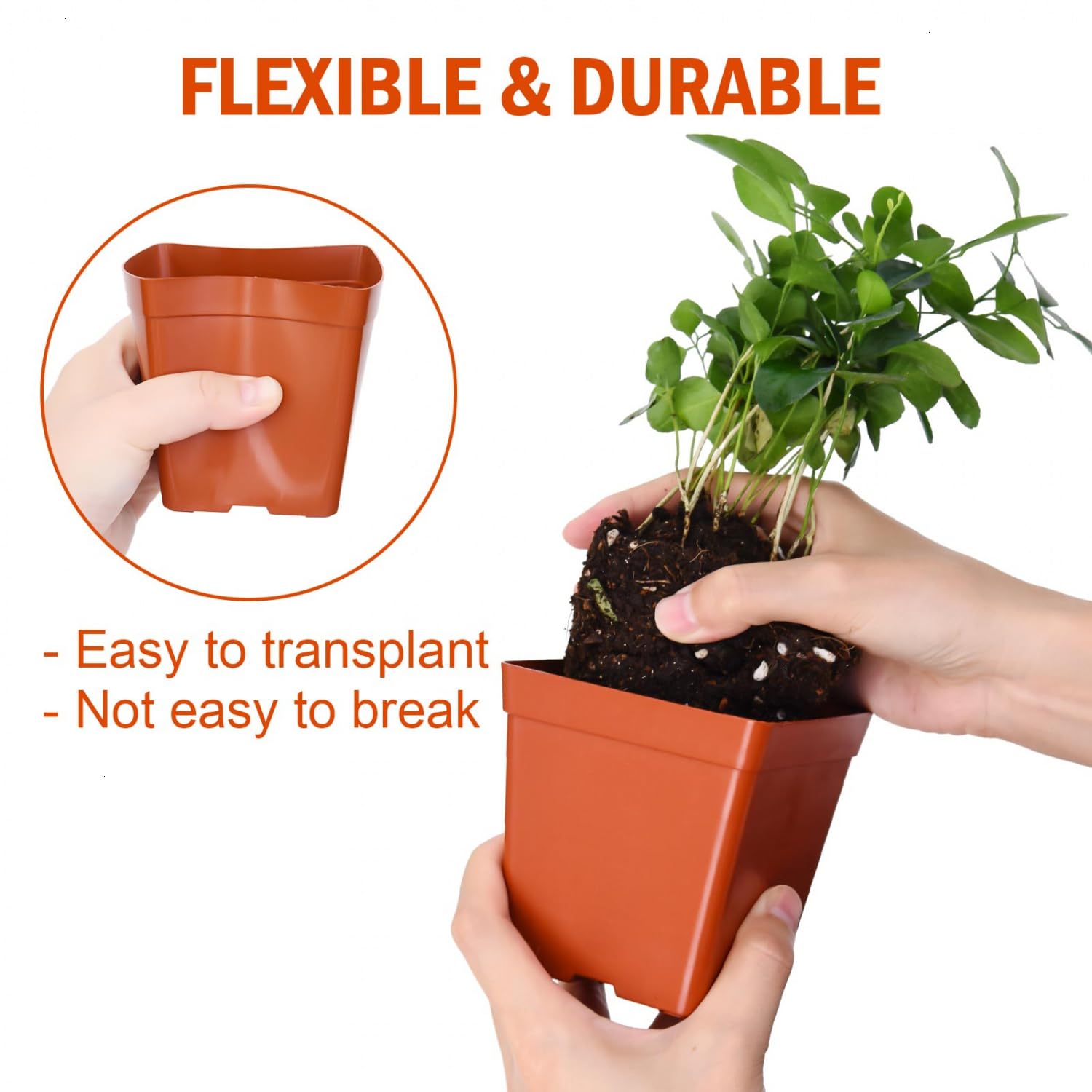 June Fox square pots compatible with a 1020 flat to save space.