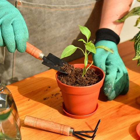 June Fox 4-inch terracotta-look pot adds stylish, DIY-friendly appeal