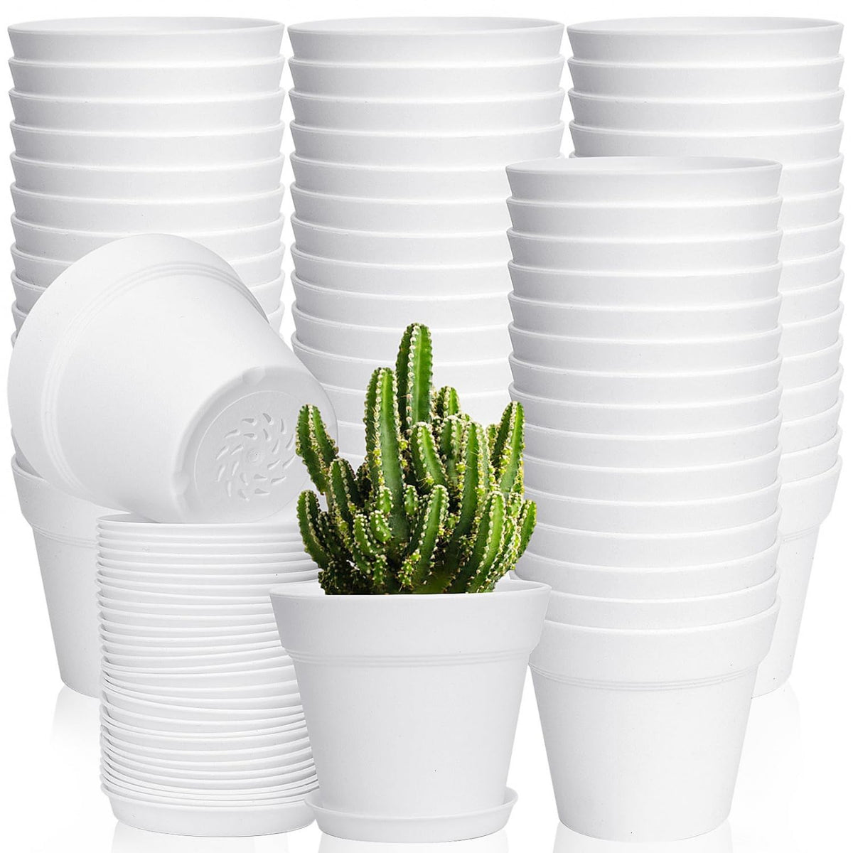 June Fox 60-pack 4-inch pots with drainage holes for healthy root care