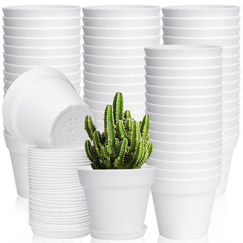 June Fox 60-pack 4-inch pots with drainage holes for healthy root care