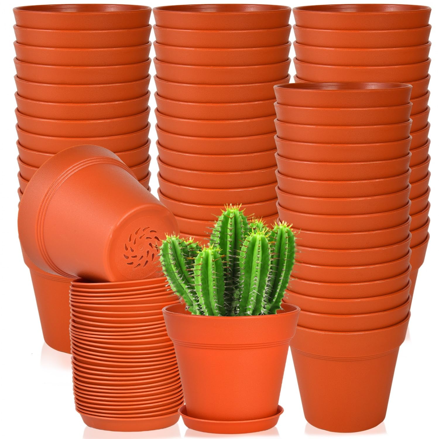June Fox 4-inch pot with drainage holes promotes healthy root watering