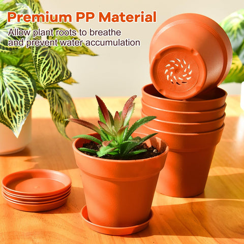 June Fox 60-pack with saucers helps manage excess water for thriving plants