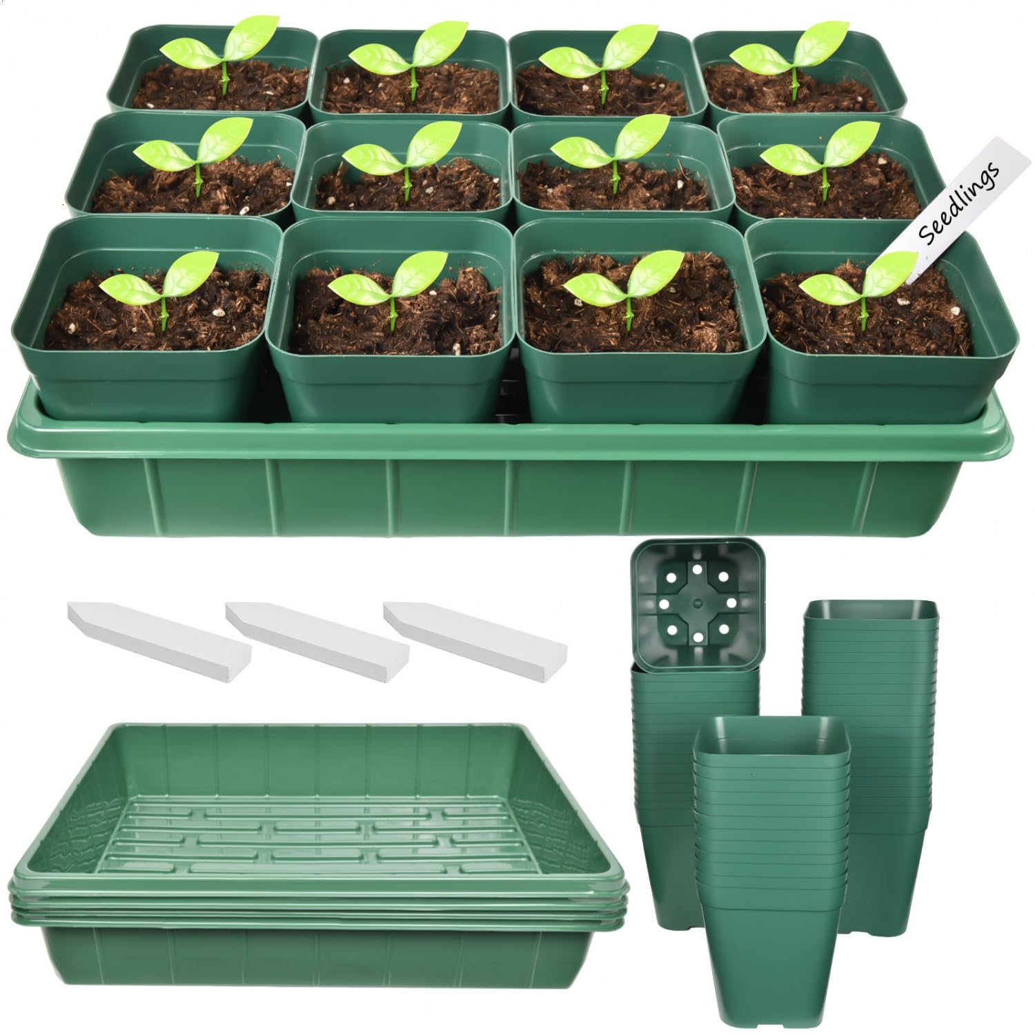 June Fox 60 pcs square nursery pots with drainage holes for healthy roots