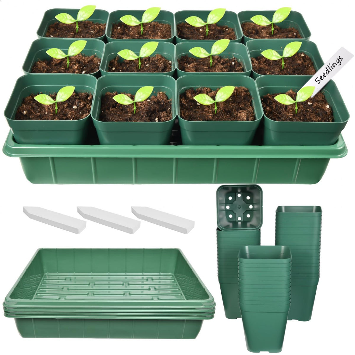 June Fox 60 pcs square nursery pots with drainage holes for healthy roots