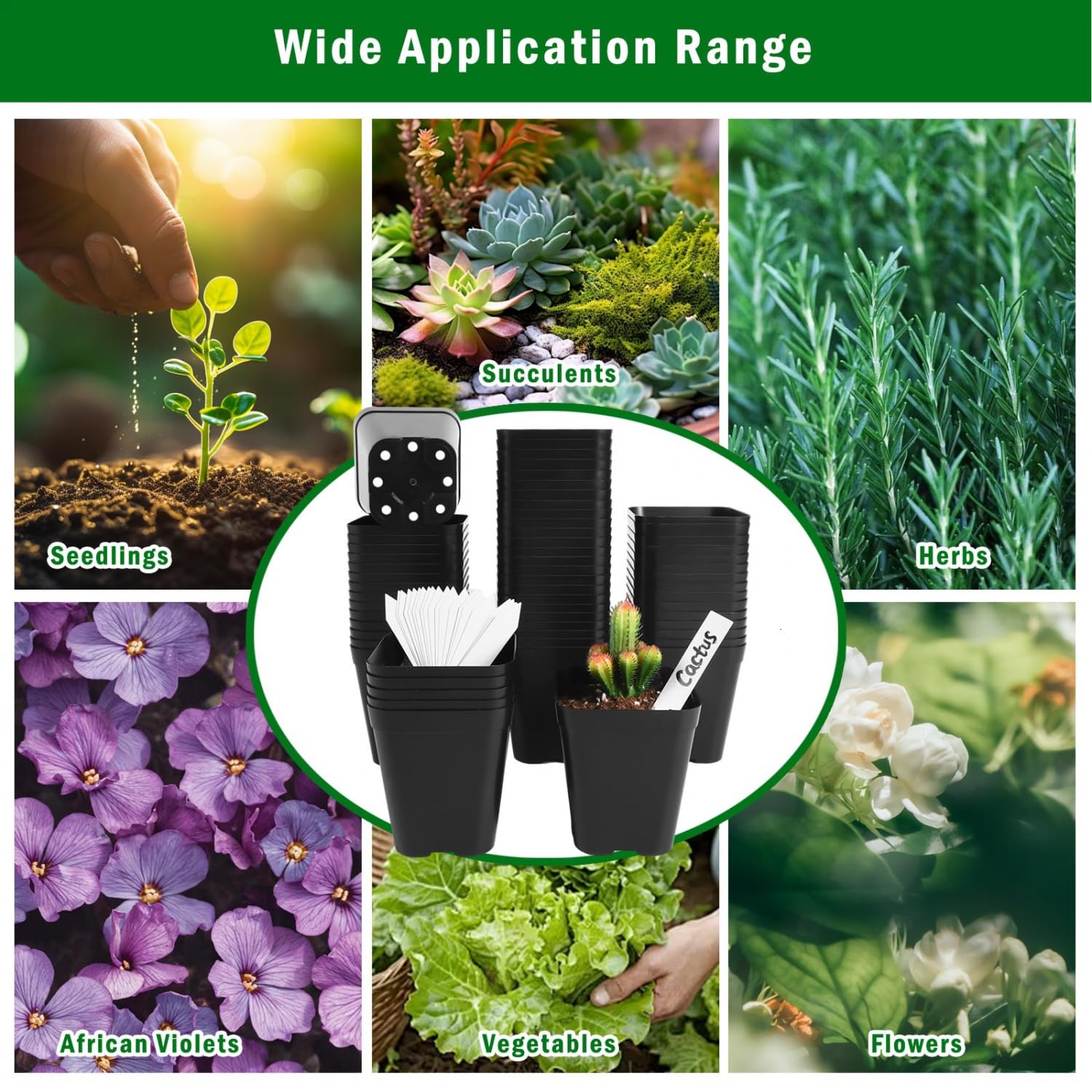 June Fox black square pots fit standard trays for tidy indoor setups.