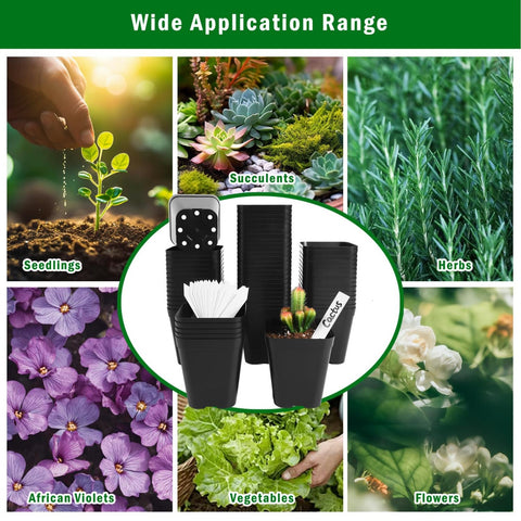 June Fox black square pots fit standard trays for tidy indoor setups.