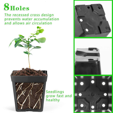 June Fox drainage holes closeup demonstrates rapid drainage and better root airflow.