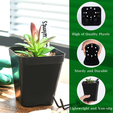 June Fox 4-inch plant pot designed for easy transplant without root disturbance.