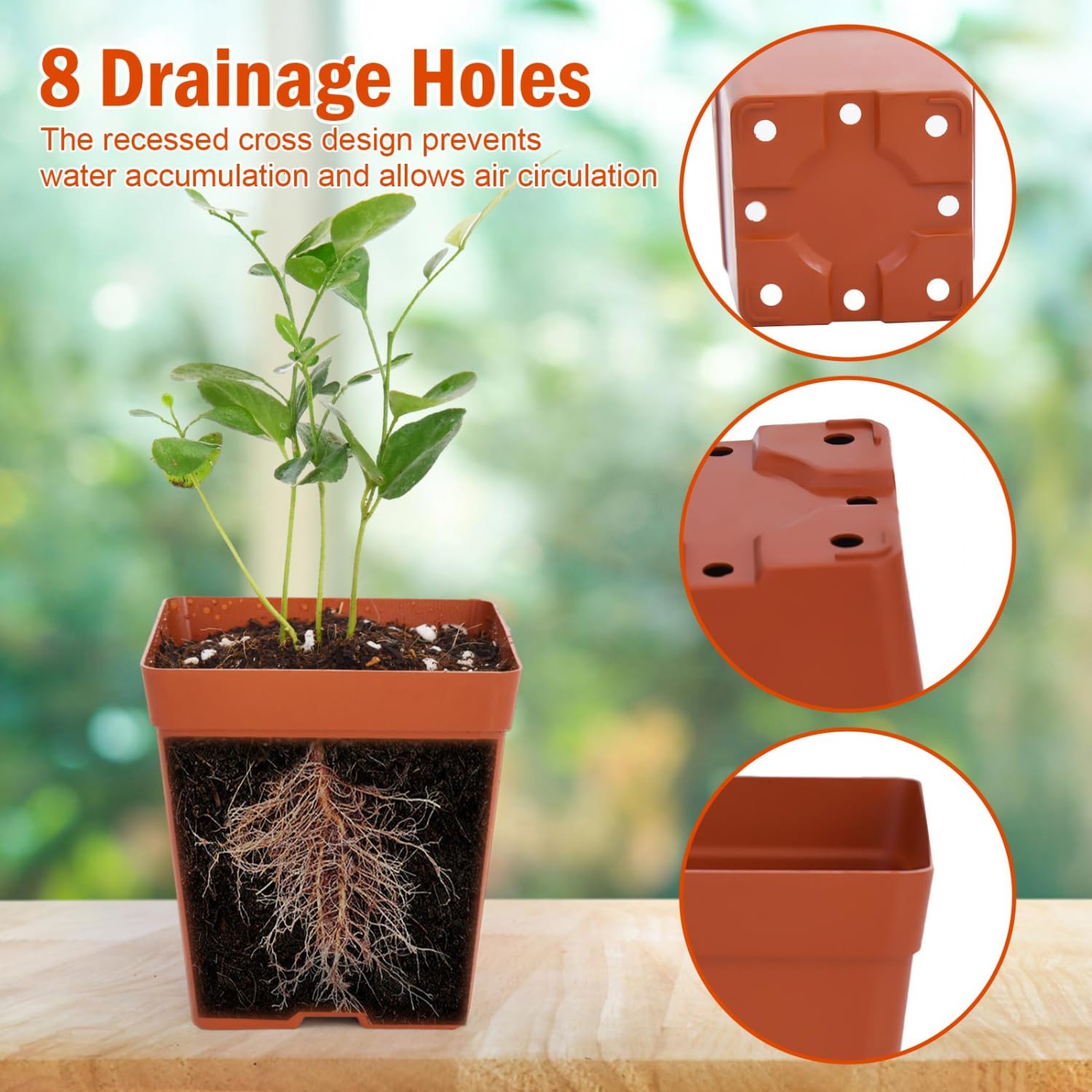 June Fox flexible durable plastic seedling pots for reuse across seasons.