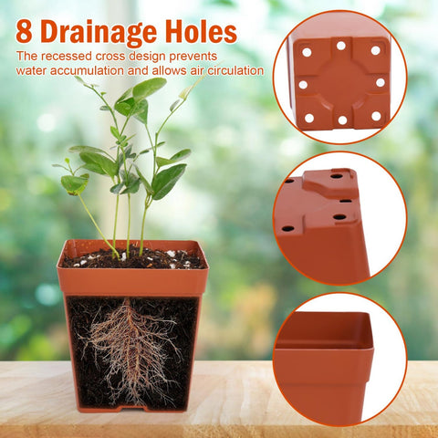 June Fox flexible durable plastic seedling pots for reuse across seasons.