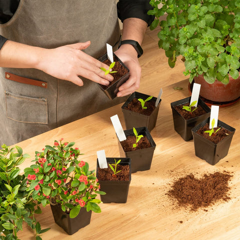 June Fox square pots ideal for greenhouse and outdoor nursery projects.