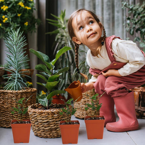 June Fox versatile pots for outdoor greening and home gardens.