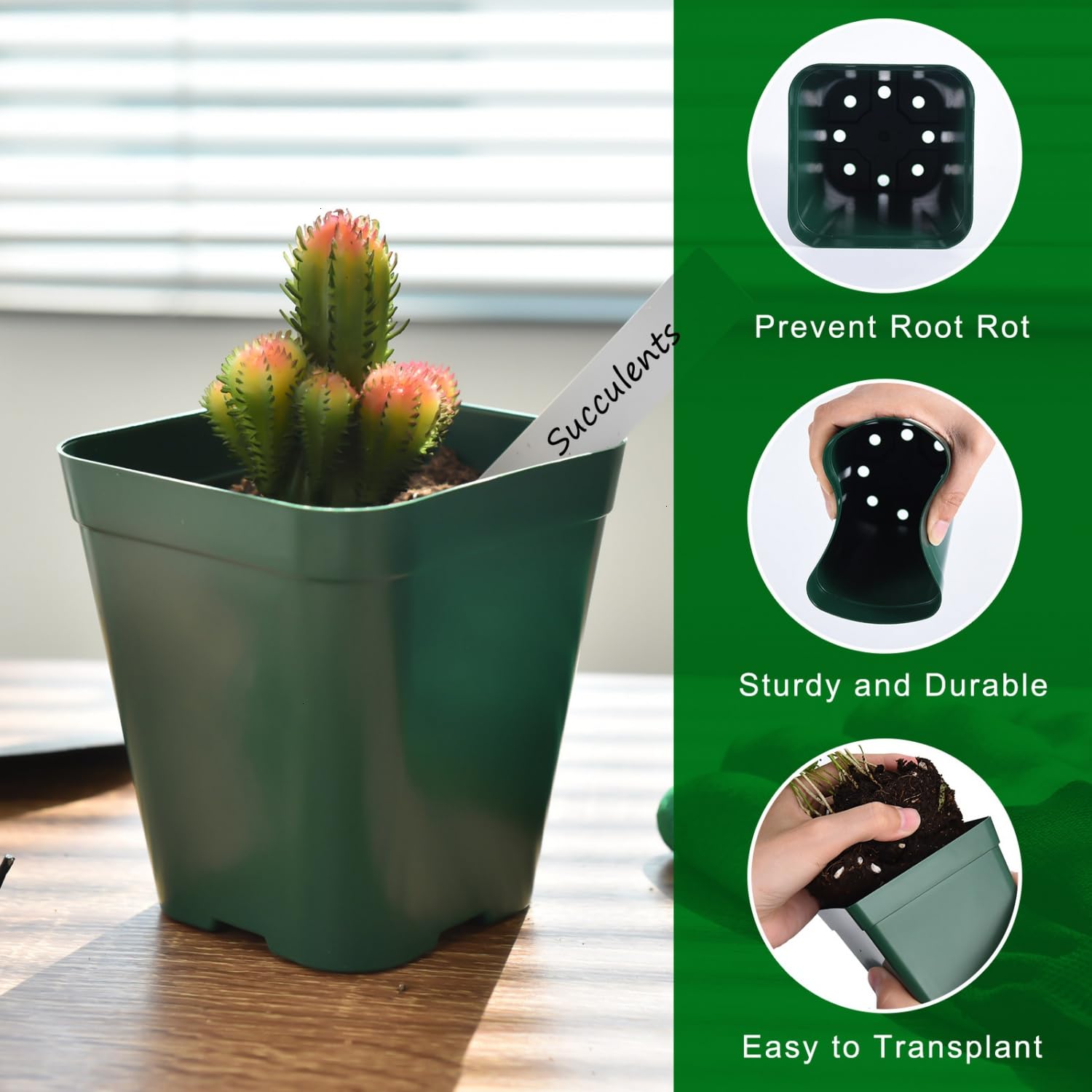 June Fox square nursery pots featuring bottom drainage to prevent overwatering