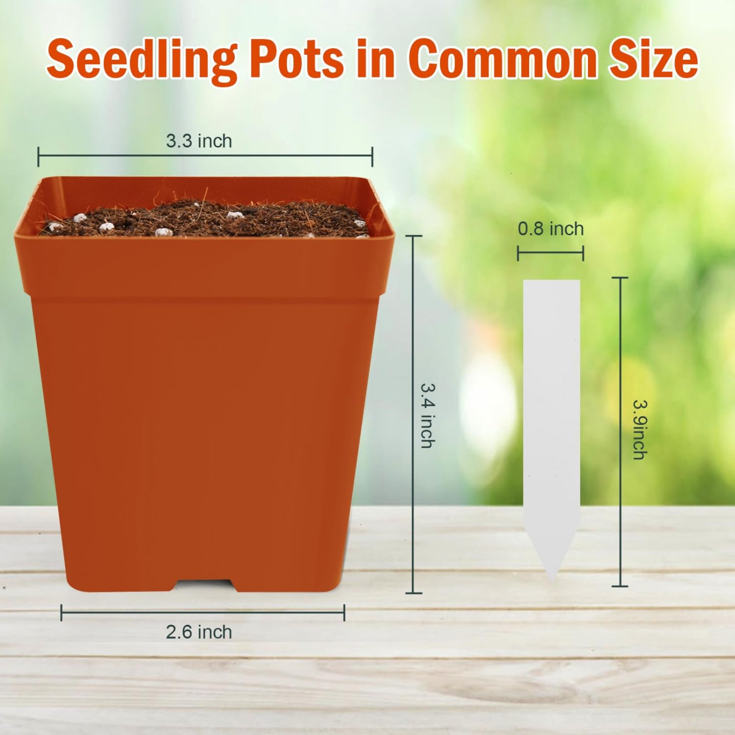 June Fox pots with drainage holes promoting healthy root airflow.
