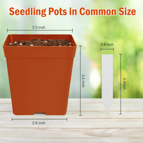 June Fox pots with drainage holes promoting healthy root airflow.