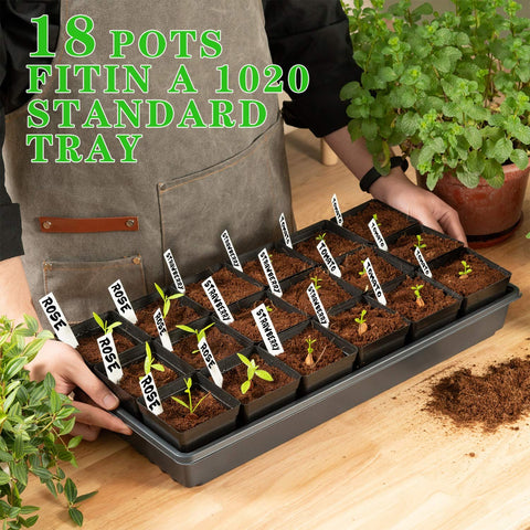June Fox plant labels 60pcs illustrate waterproof, writable marks for easy organization.
