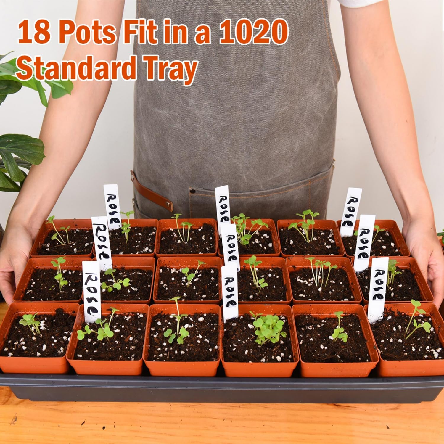 June Fox waterproof plant labels 10x2 cm for easy tracking.