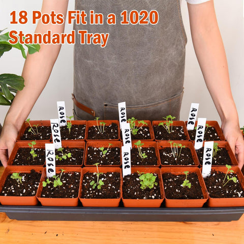 June Fox waterproof plant labels 10x2 cm for easy tracking.