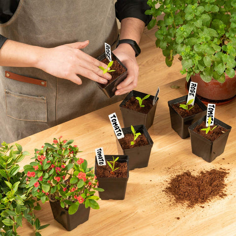 June Fox reusable nursery pot emphasizes durability and multi-season use.