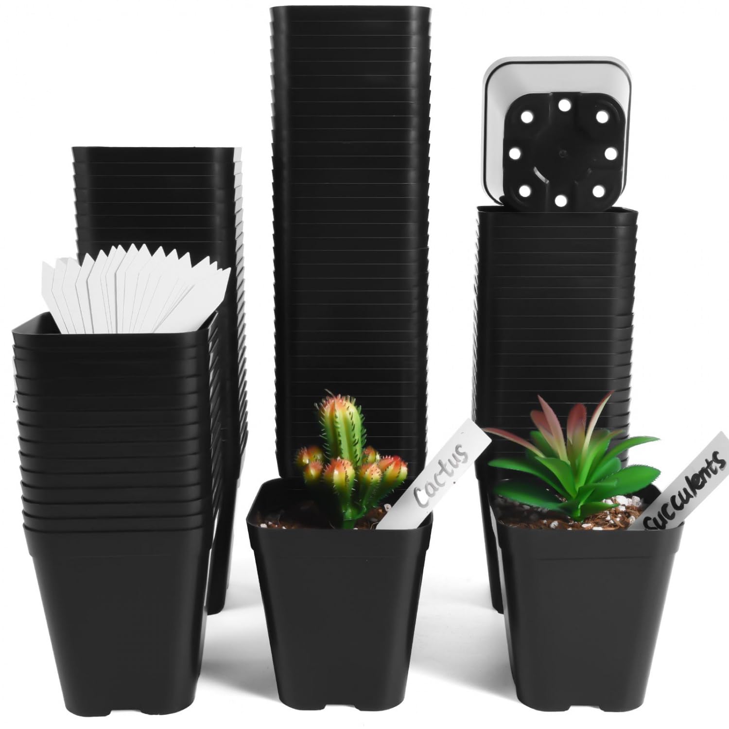 June Fox 4-inch seedling pot with drainage holes for healthy young plants.