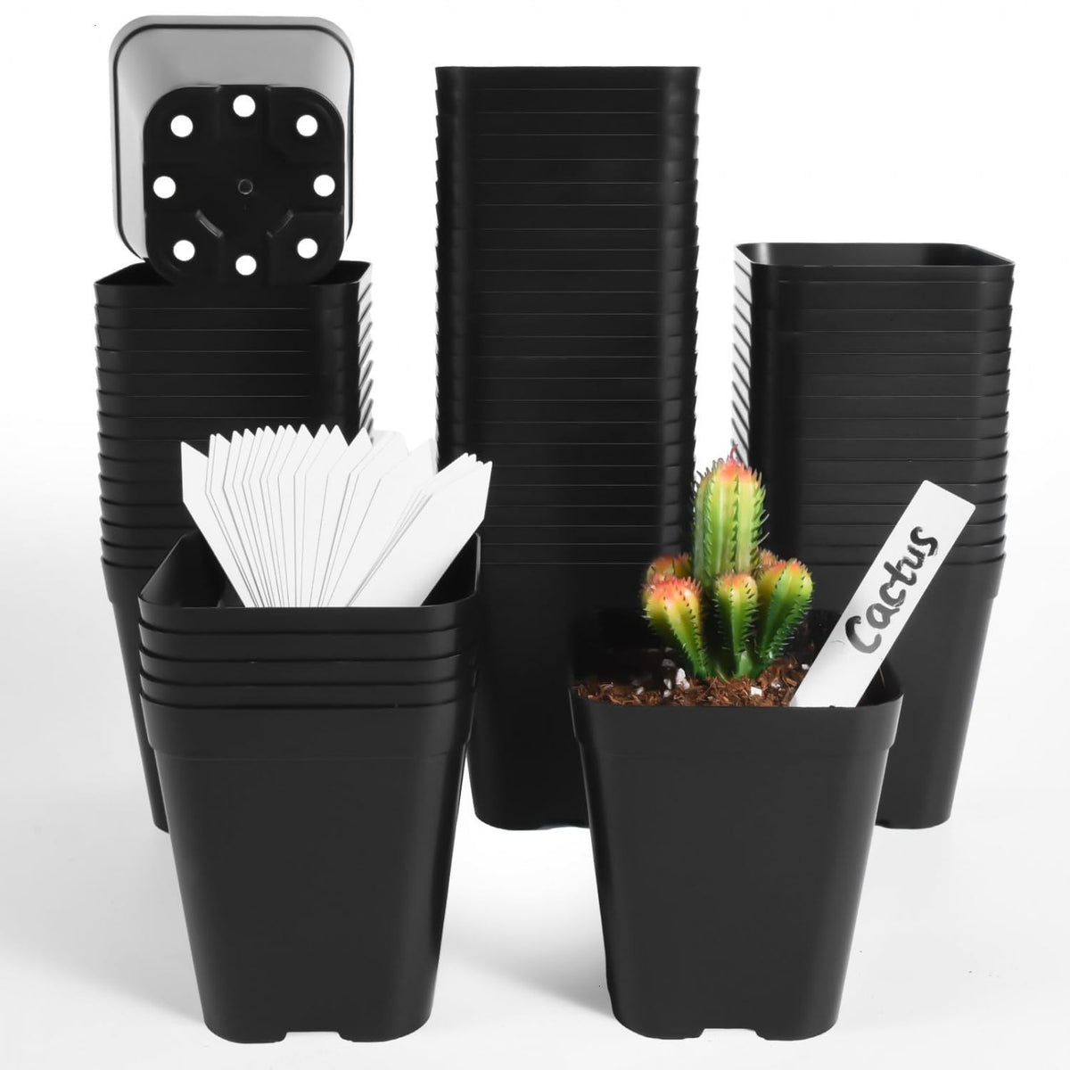 June Fox seedling pot 4-inch square black with drainage holes for healthy seedlings.