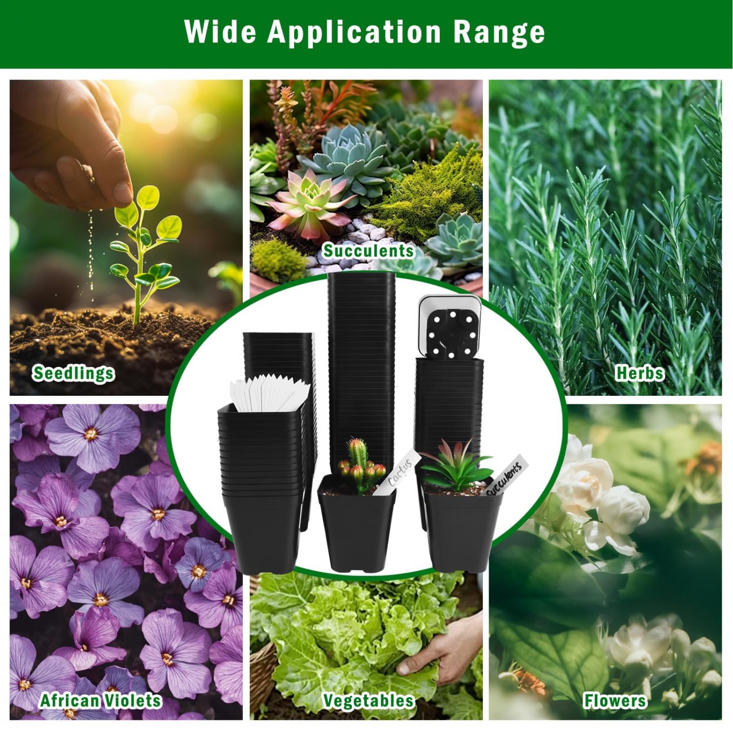 Perfect 4-inch size for transplanting young plants with minimal root disturbance.