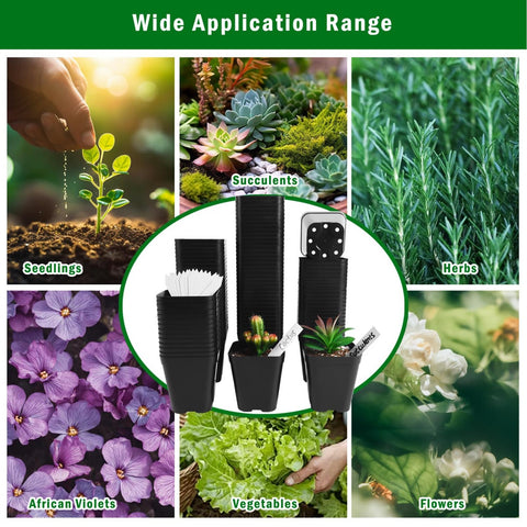 Perfect 4-inch size for transplanting young plants with minimal root disturbance.