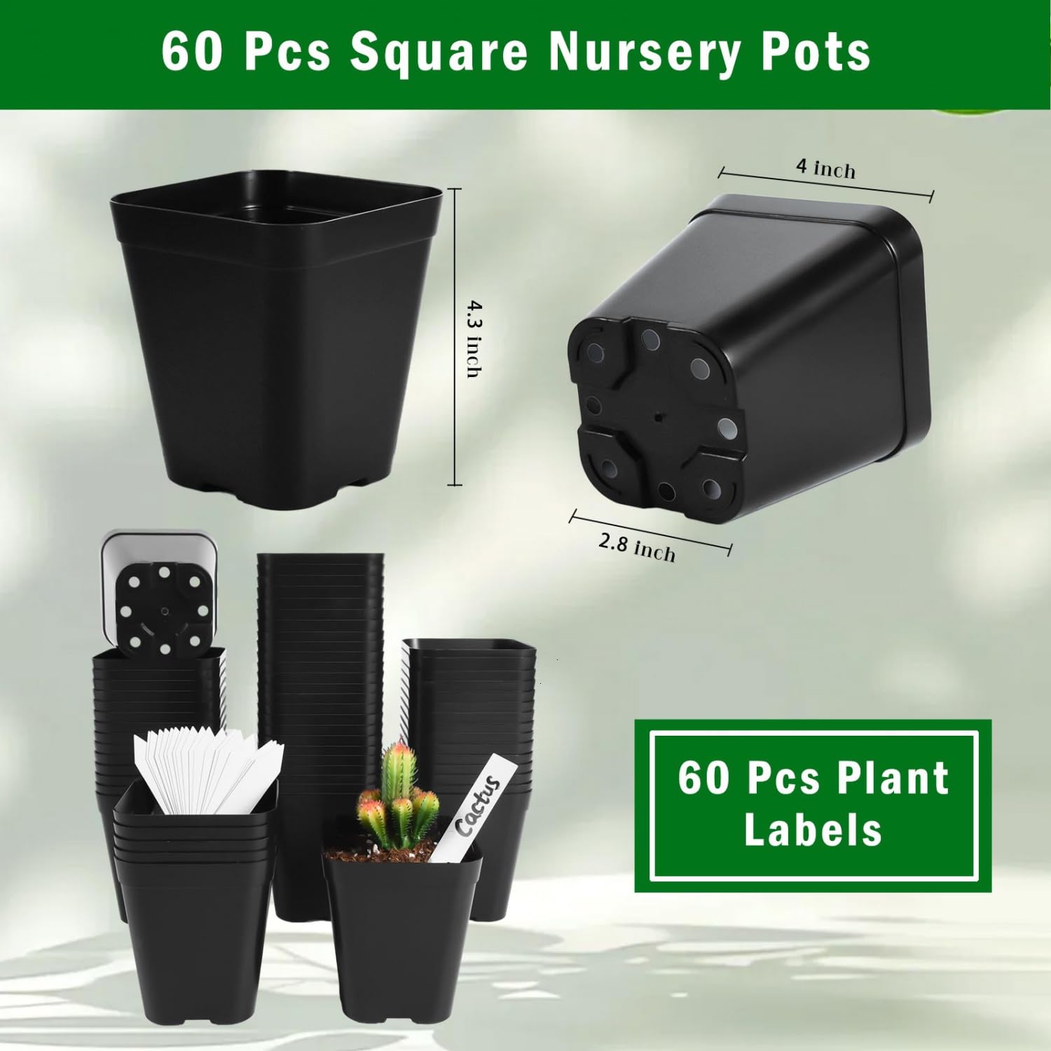 June Fox square nursery pot showing drainage holes for proper water management.