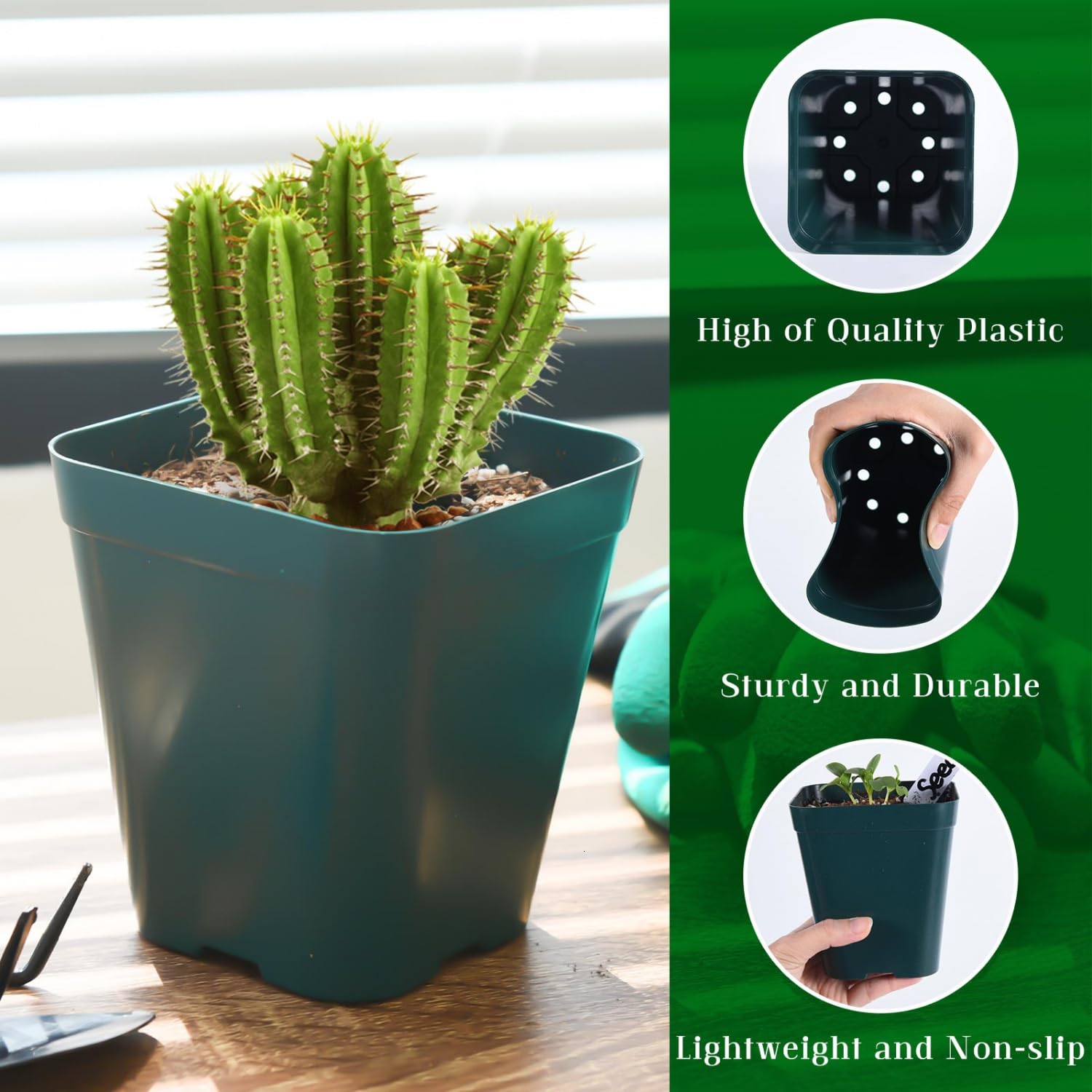 June Fox 4-inch green seedling pots with drainage holes promote root airflow.