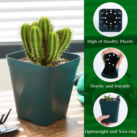 June Fox 4-inch green seedling pots with drainage holes promote root airflow.