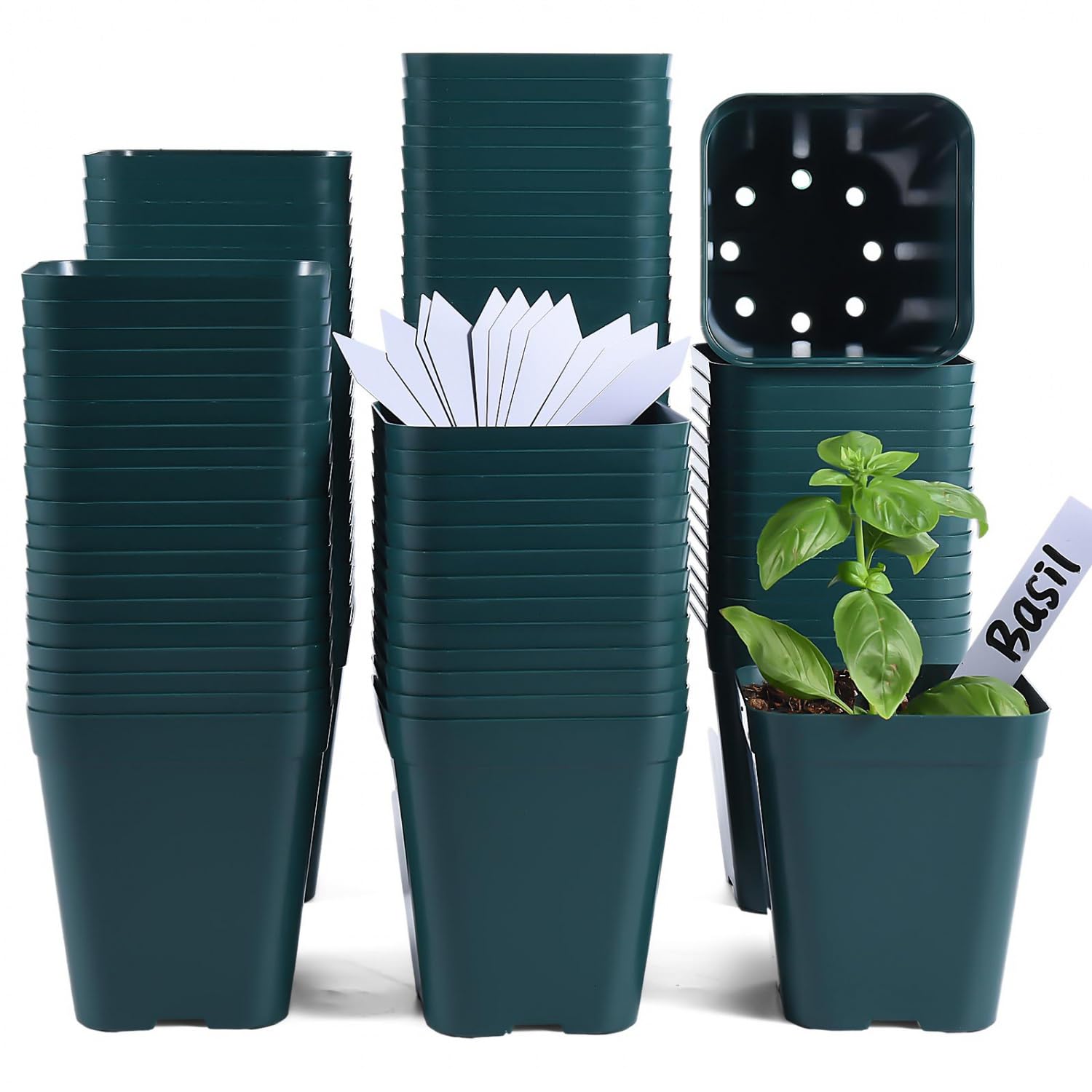 June Fox 4-inch green seedling pots, side view, ideal for starter plants.