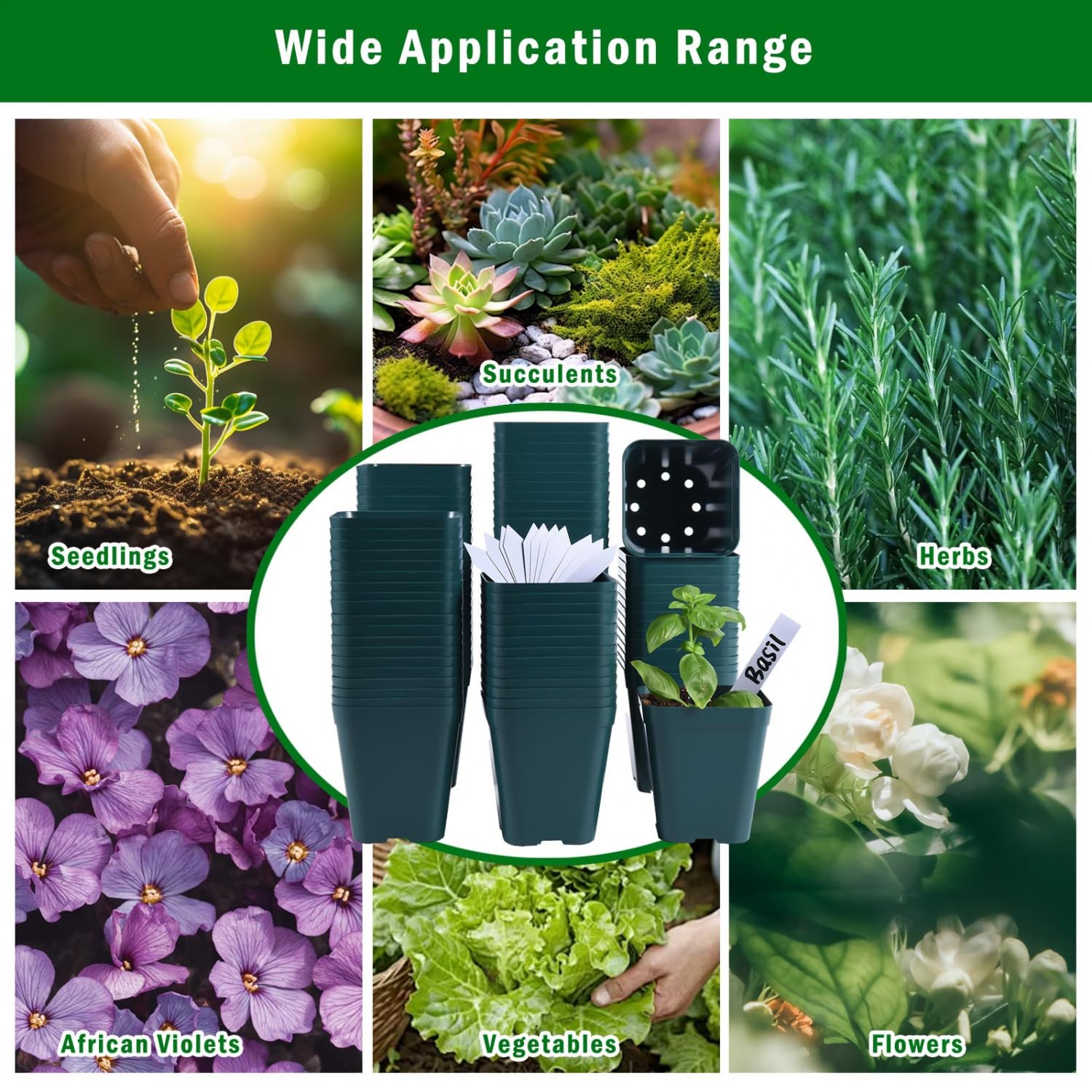 June Fox 4-inch green windowsill setup for small plants.